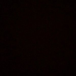 Meet your Posher, Amelia